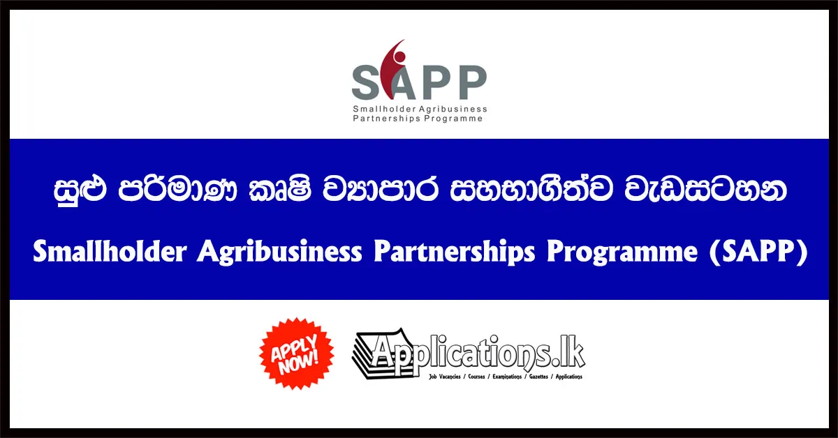 Programme Secretary – Smallholder Agribusiness Partnerships Programme 2020
