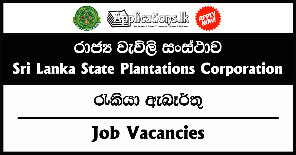 Manager (Procurement), Administrative Officer, Assistant Manager (Transport), Assistant Superintendent, Personal Assistant to Chairman, Personal Assistant to General Manager, Management Assistant – Sri Lanka State Plantations Corporation (SLSPC) Vacancies 2025