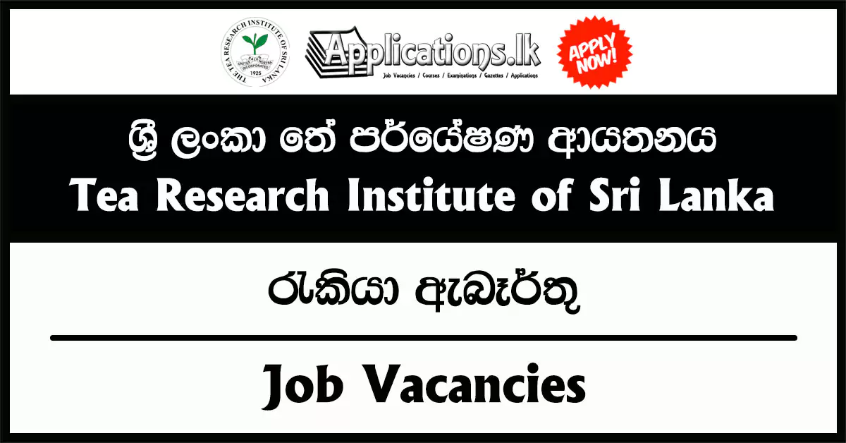 Senior Assistant Clerk – Tea Research Institute of Sri Lanka Vacancies 2025